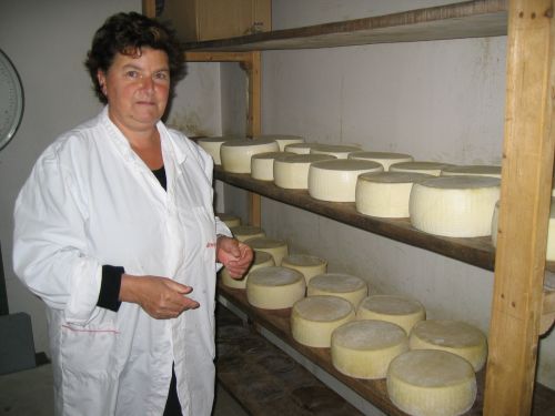 scuola di formaggio-19.JPG